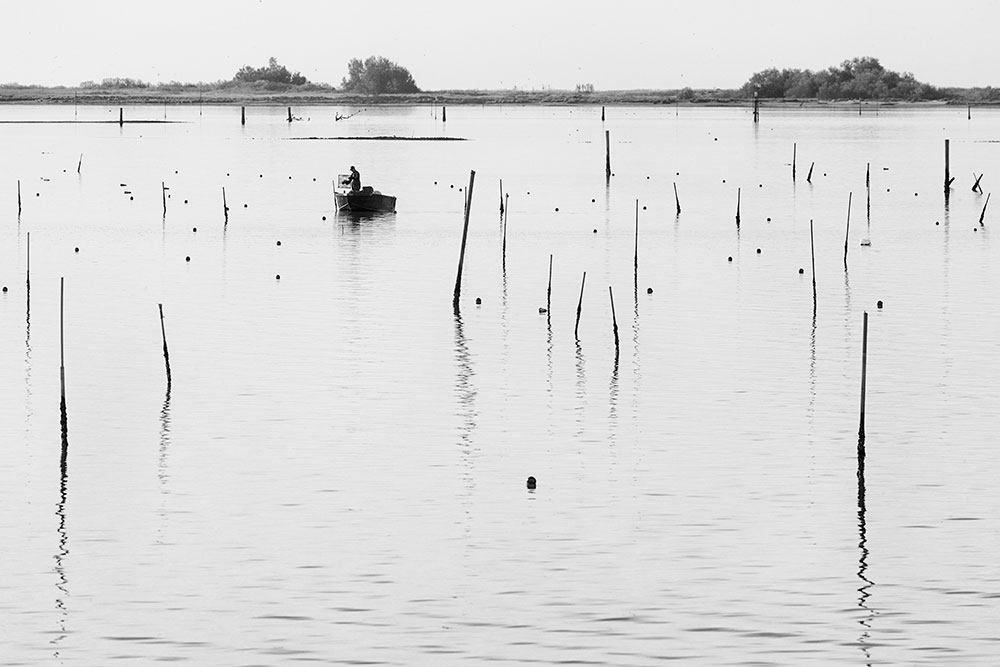 Workshop-Comacchio-Fotografiafineart-MG1264-1 Workshop-Comacchio-Fotografiafineart-MG1264-1