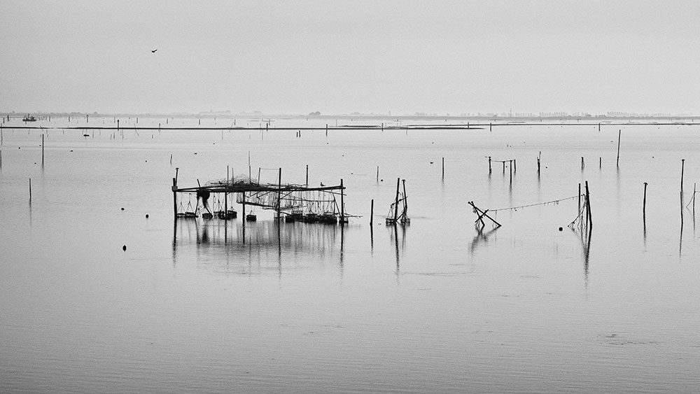 Workshop-Comacchio-Fotografiafineart-P8170025 Workshop-Comacchio-Fotografiafineart-P8170025