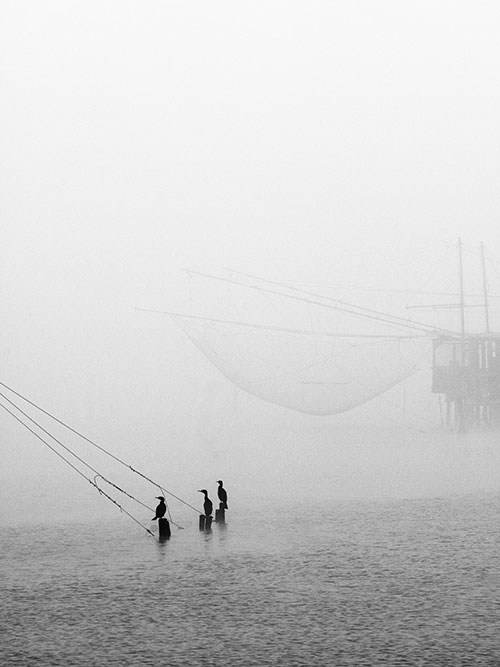 Workshop-Comacchio-Fotografiafineart-PEN8634 Workshop-Comacchio-Fotografiafineart-PEN8634